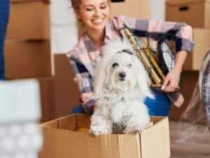 Ragazza che sorride e un cane bianco per il trasloco